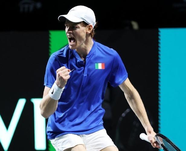 爱游戏下载-年终总决赛力克戴维斯杯，辛纳扛起全队的简单介绍