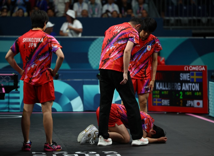 日本队翻盘瑞典队，樊振东带队取胜