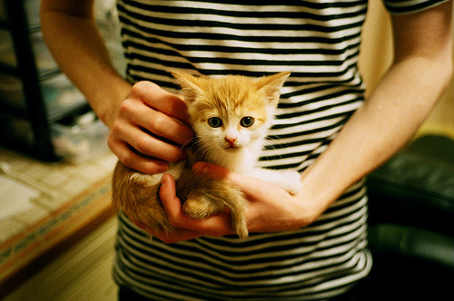 撕碎魔咒！石宇奇率马来西亚创造不可能，终结对印尼十年恐惧