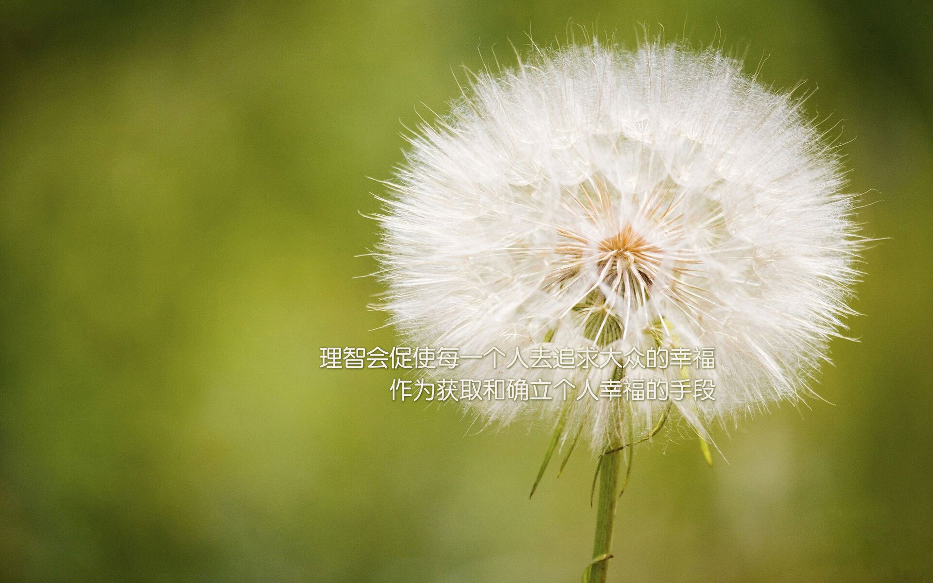 为何我们总为绝境翻盘热泪盈眶？从骑士翻盘浙江队看竞技体育的不朽魅力