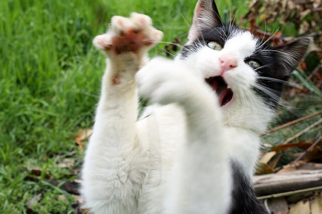 从安菲尔德奇迹到亚洲曙光,C罗一锤定音背后的足球时代变迁