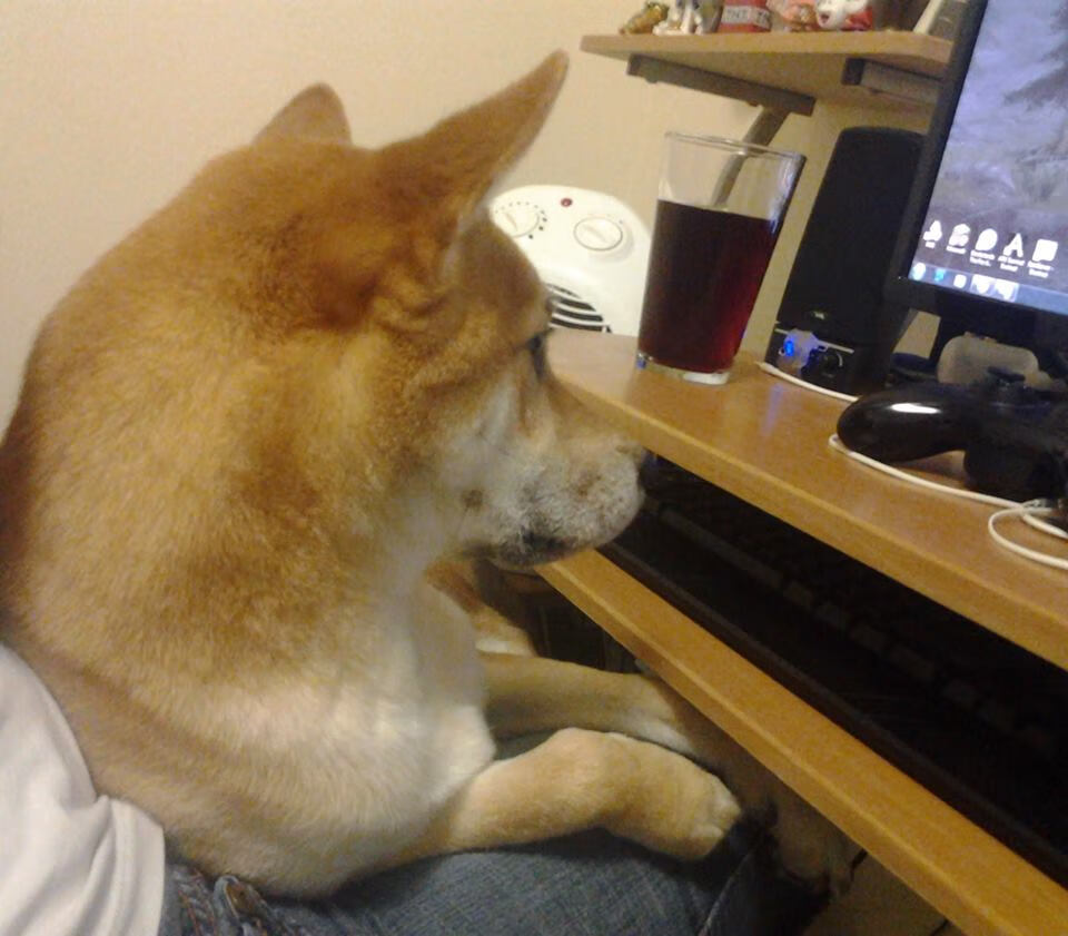 当太行山岩撞上亚特兰大风暴,小贾伦·杰克逊如何成为跨洲际战役的破壁人