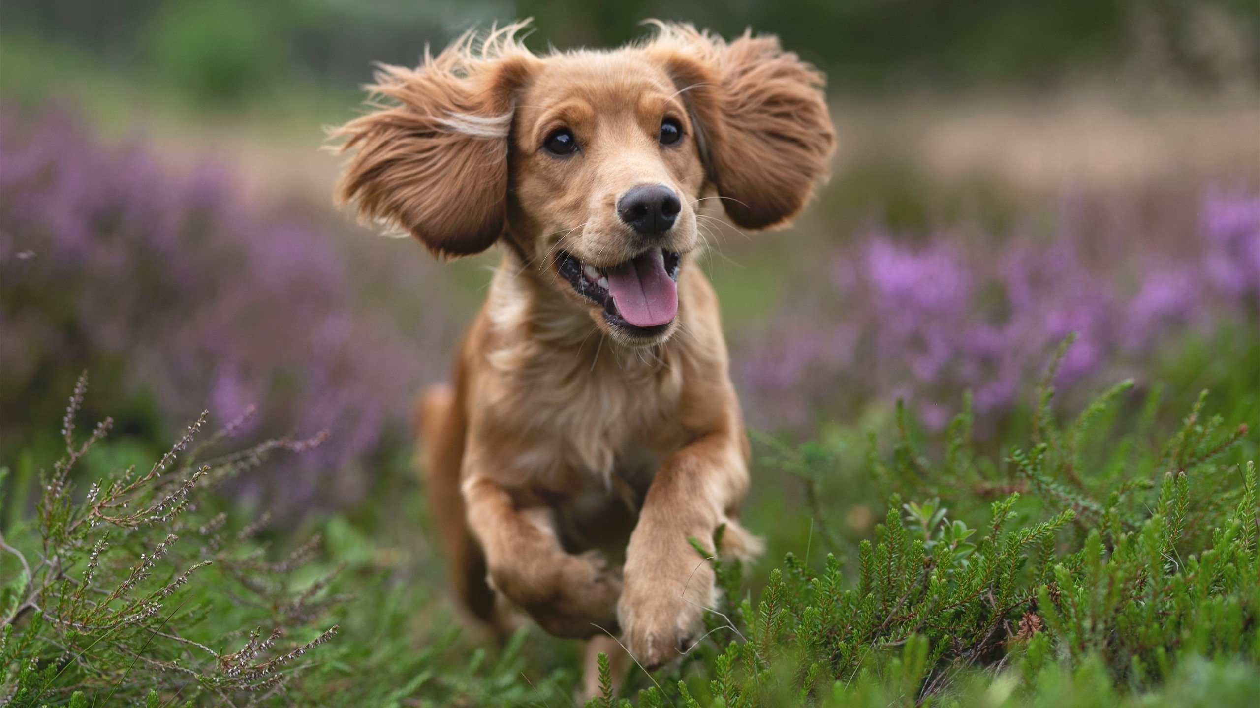 孤星破铁壁,伊萨克用北欧神话对抗瑞士钟表