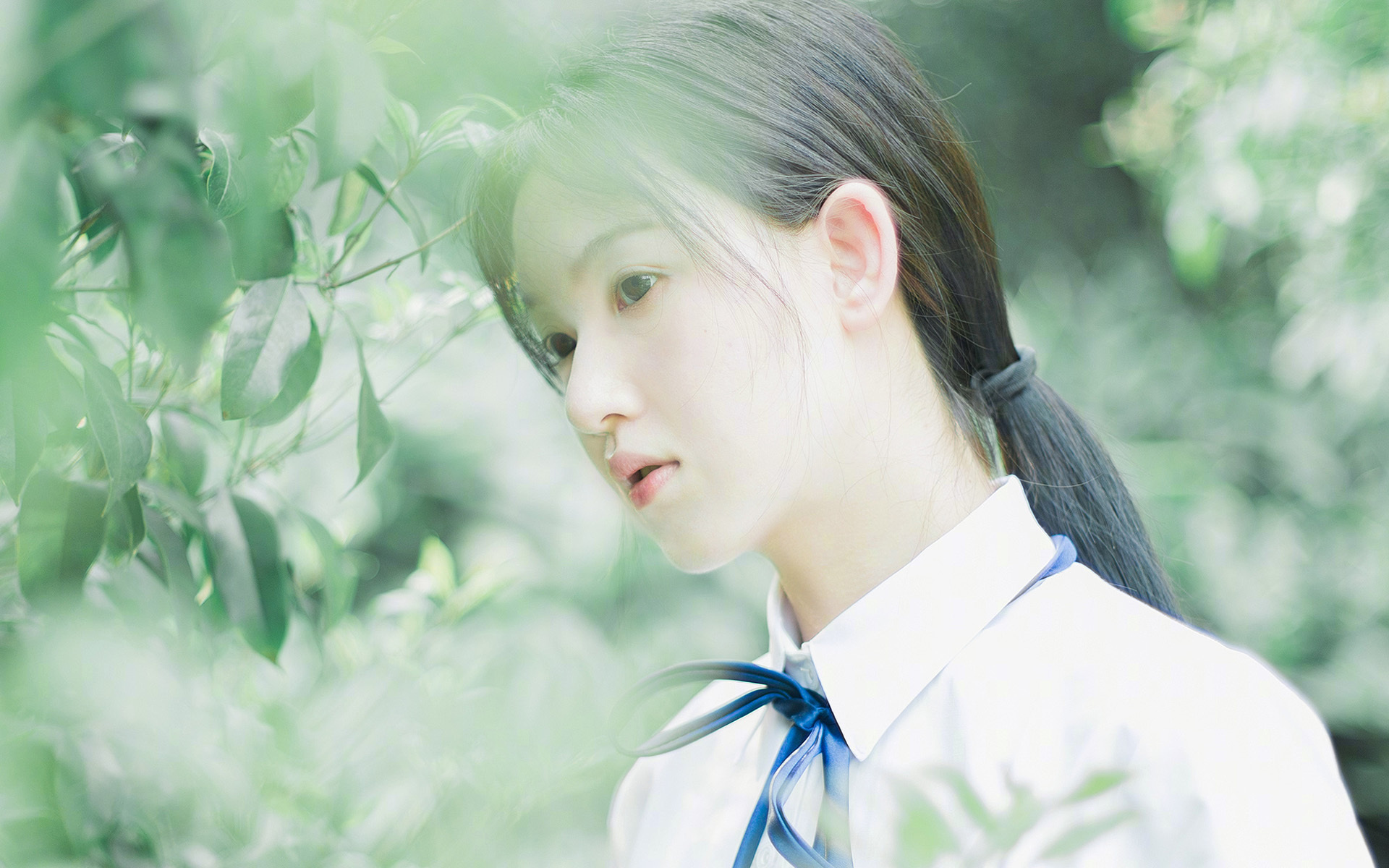 圣城新王降临，华盛顿青年军破网—篮球世界的双重悬念终结夜