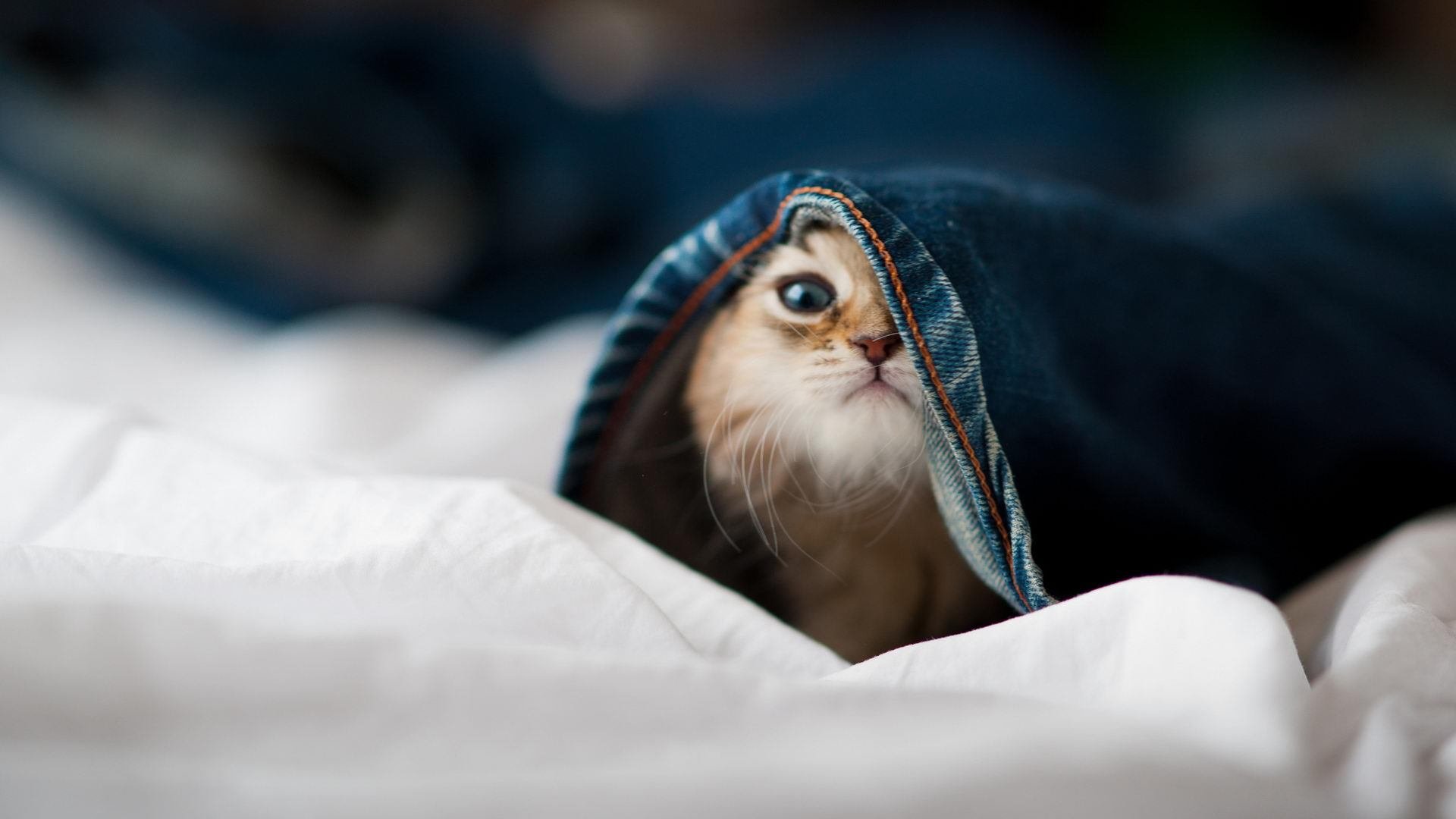 英雄还是罪人？赛后拉文的独自更衣室