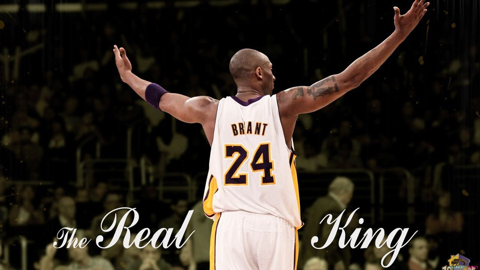 冰原公牛对阵风沙新疆,范弗利特再现大场面先生本色