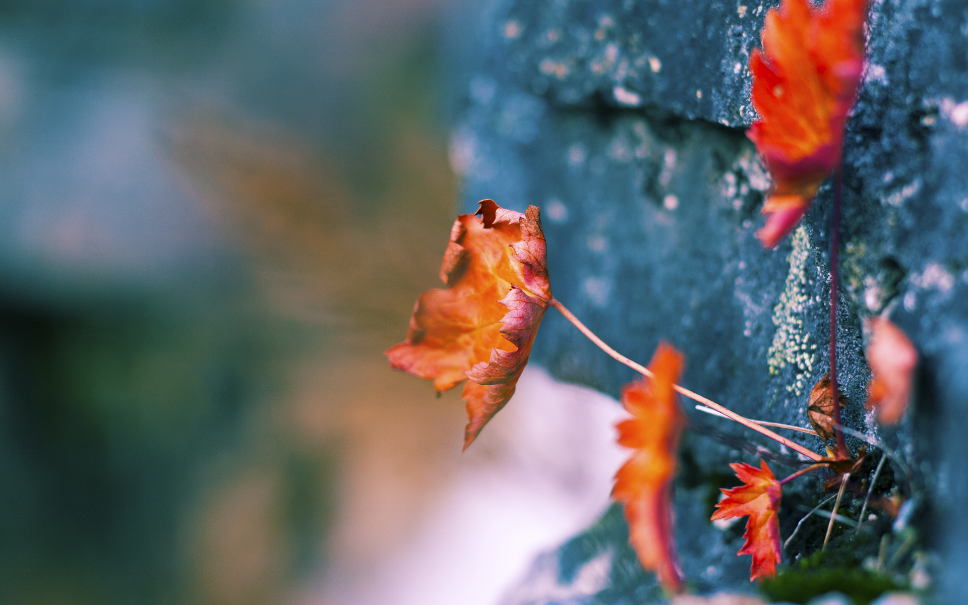 当钢铁防线遇见致命一击,塔图姆化身凯尔特人版乔治强压篮网