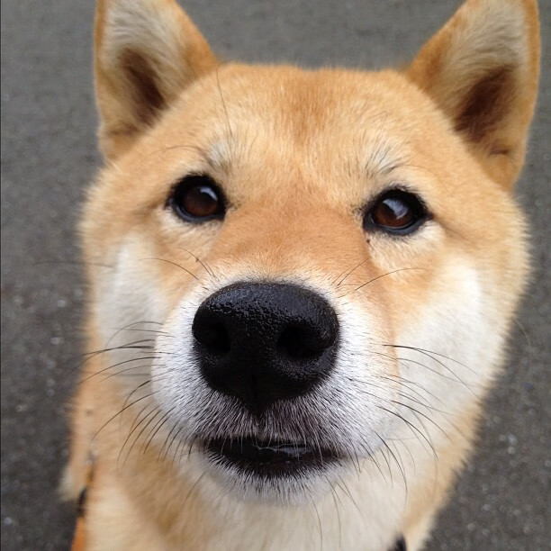 从沉沦到救赎,被遗忘的天才击溃76人,太阳真正真核在此夜觉醒