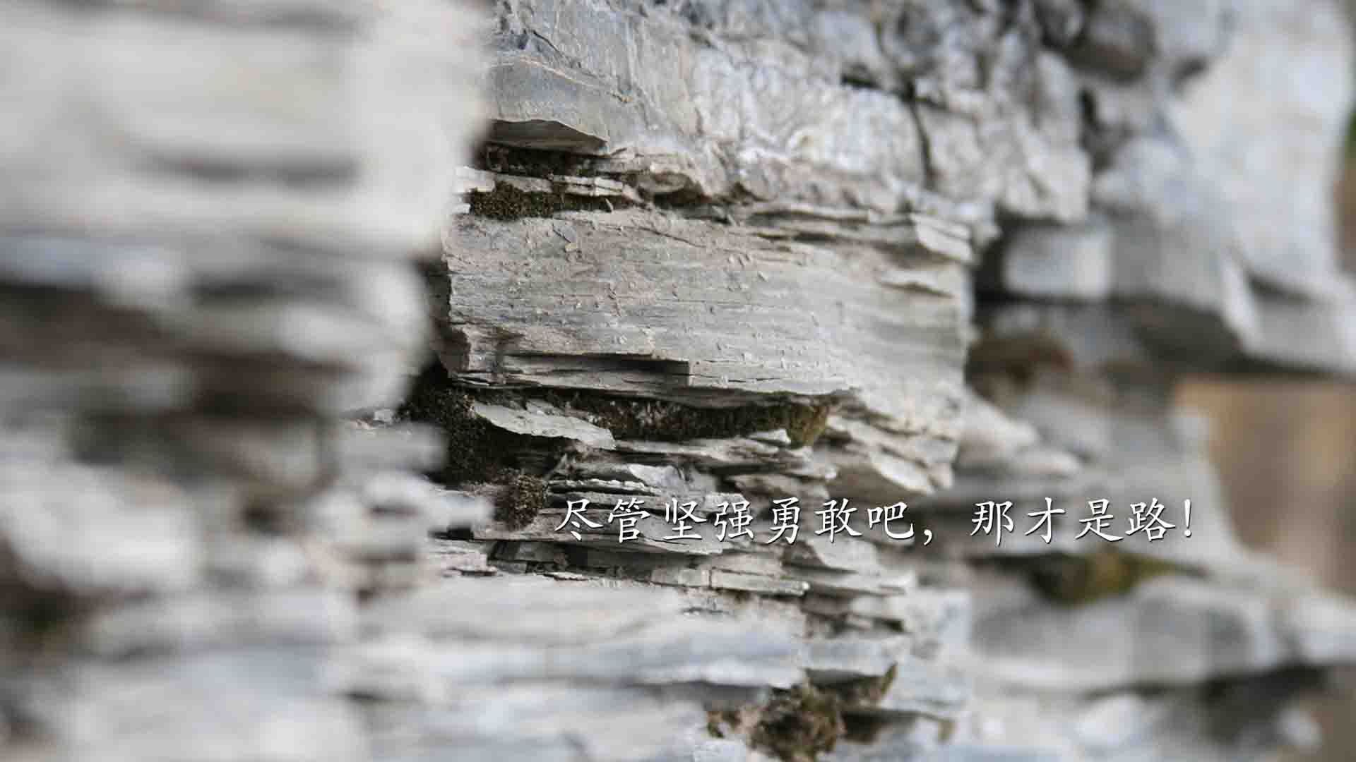 西亚卡姆封神之战，2026世界杯之夜的无可争议王者