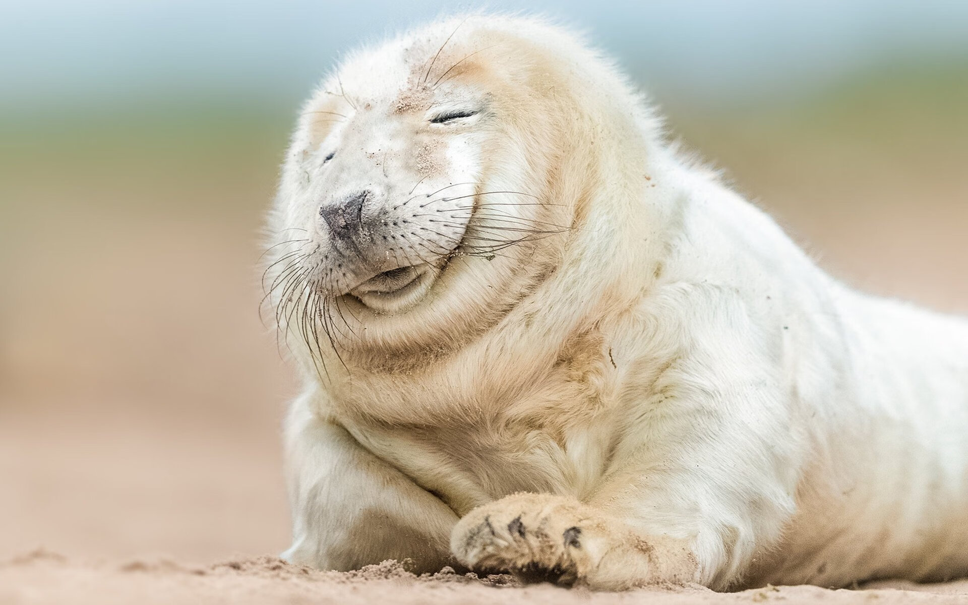 终极炼狱!欧战史上首次抢七战,拉齐奥窒息式粉碎多特蒙德