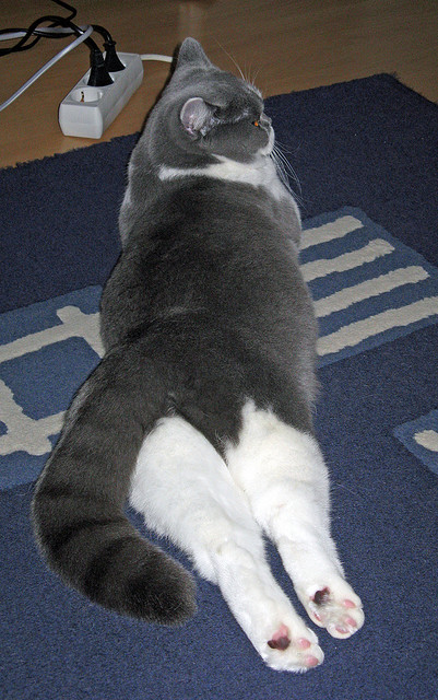 决胜末节，从NBA总决赛到日爱商业对决的启示