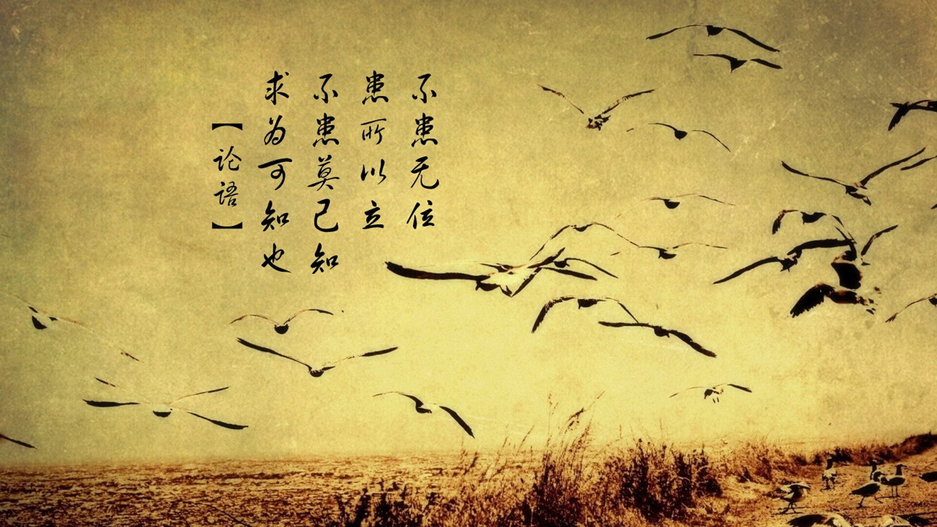 冷风呼啸，2026世界杯C组，日本如何用纪律压制德国，阿方索·戴维斯一人撕裂亚洲防线