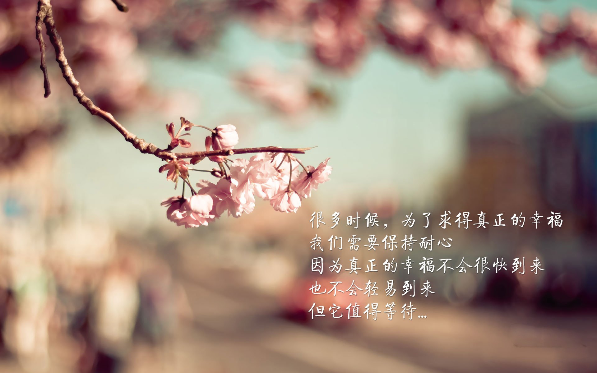 血染沙漠的加冕,当梅西用10分钟撕裂亚洲铁壁,世界杯E组迎来史诗绝对