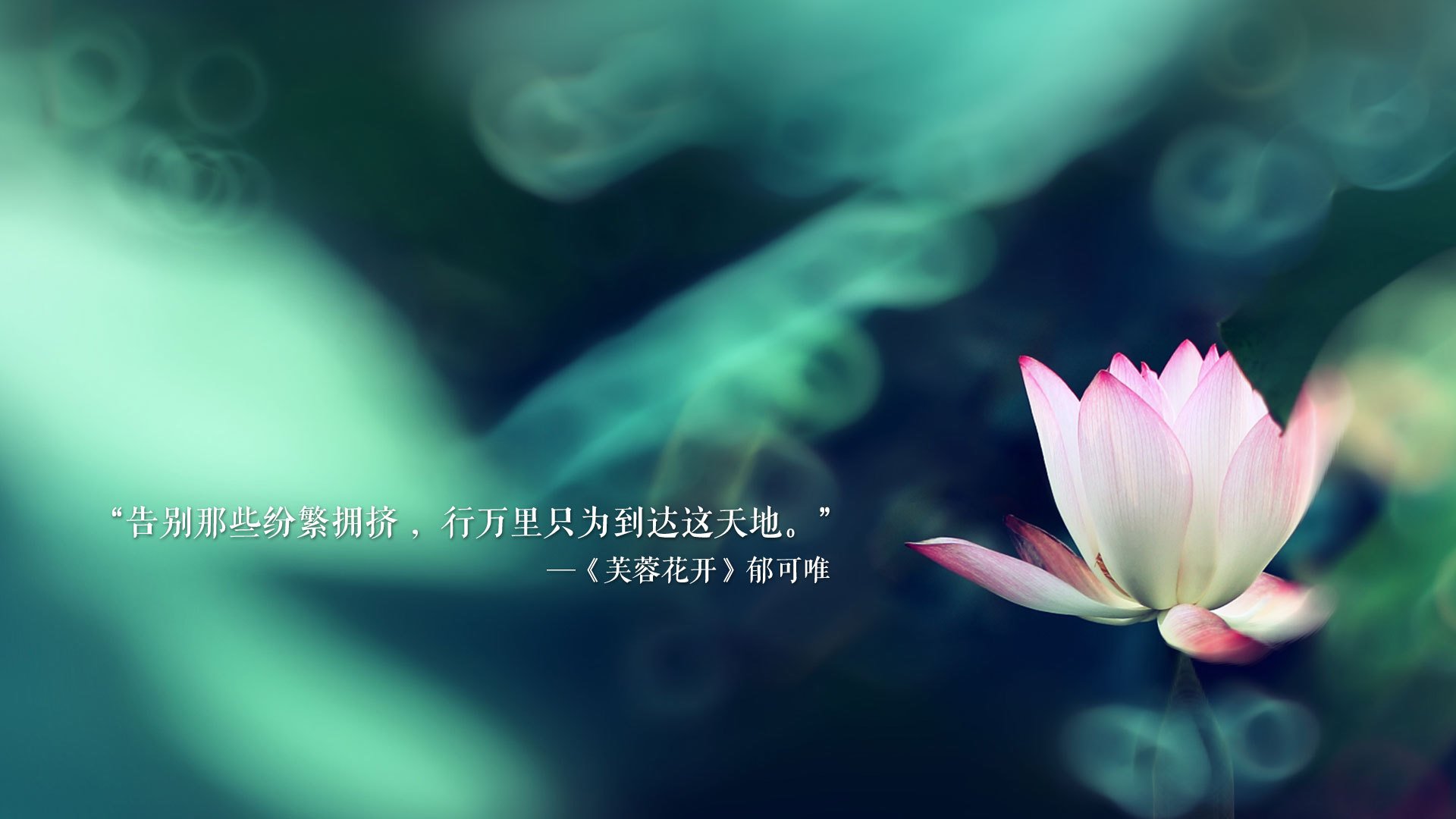 2026世界杯G组,节奏风暴下的致命一击—齐耶赫绝杀,美国完胜印度