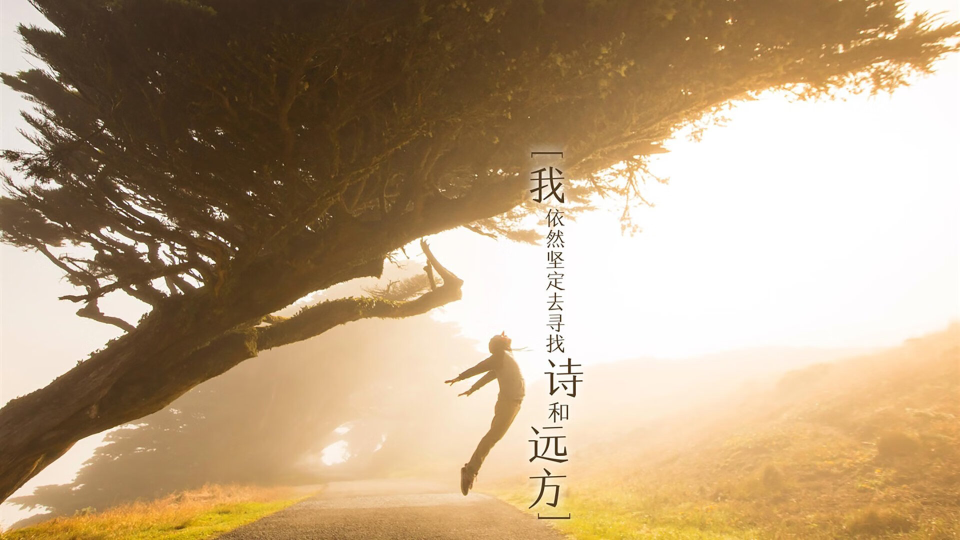 2026世界杯G组,节奏风暴下的致命一击—齐耶赫绝杀,美国完胜印度
