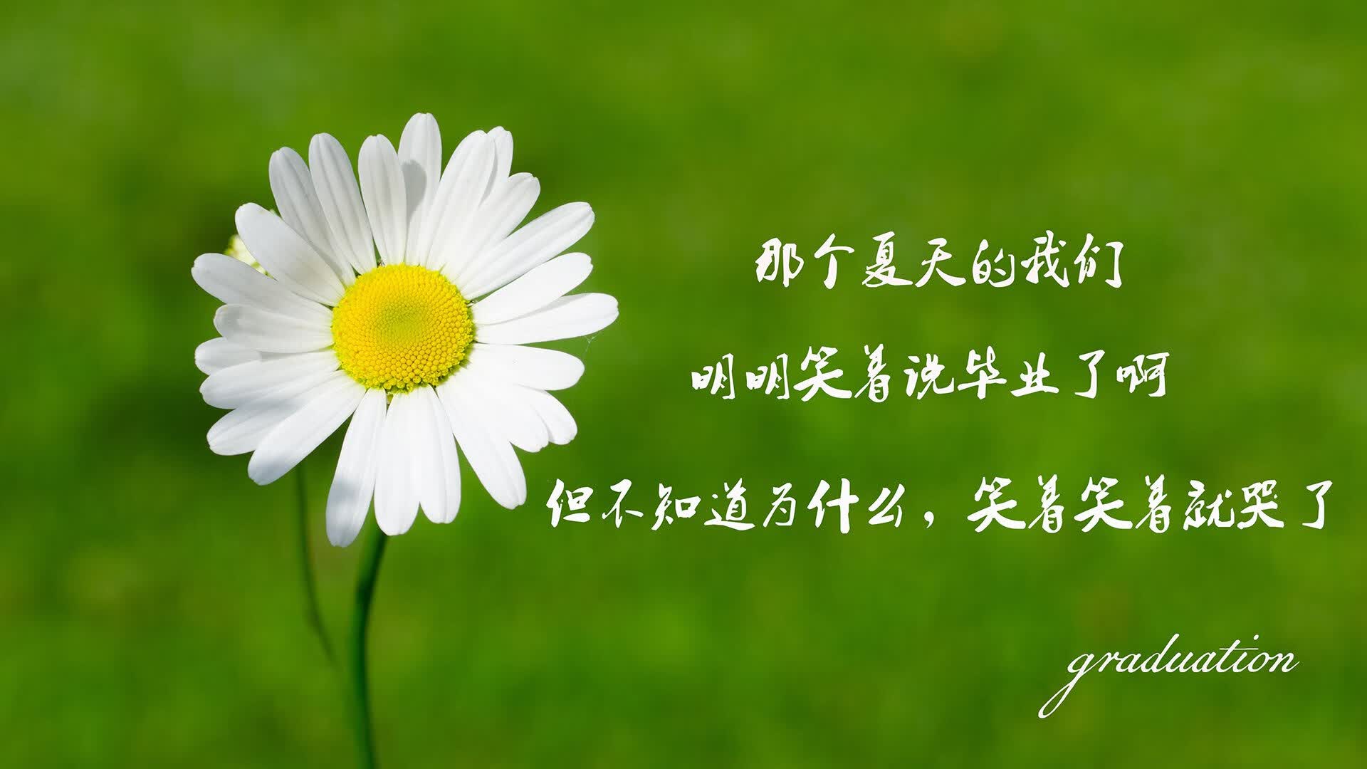 冰岛风暴，2026世界杯F组的奇迹之夜，穆西亚拉闪耀，防线坚不可摧